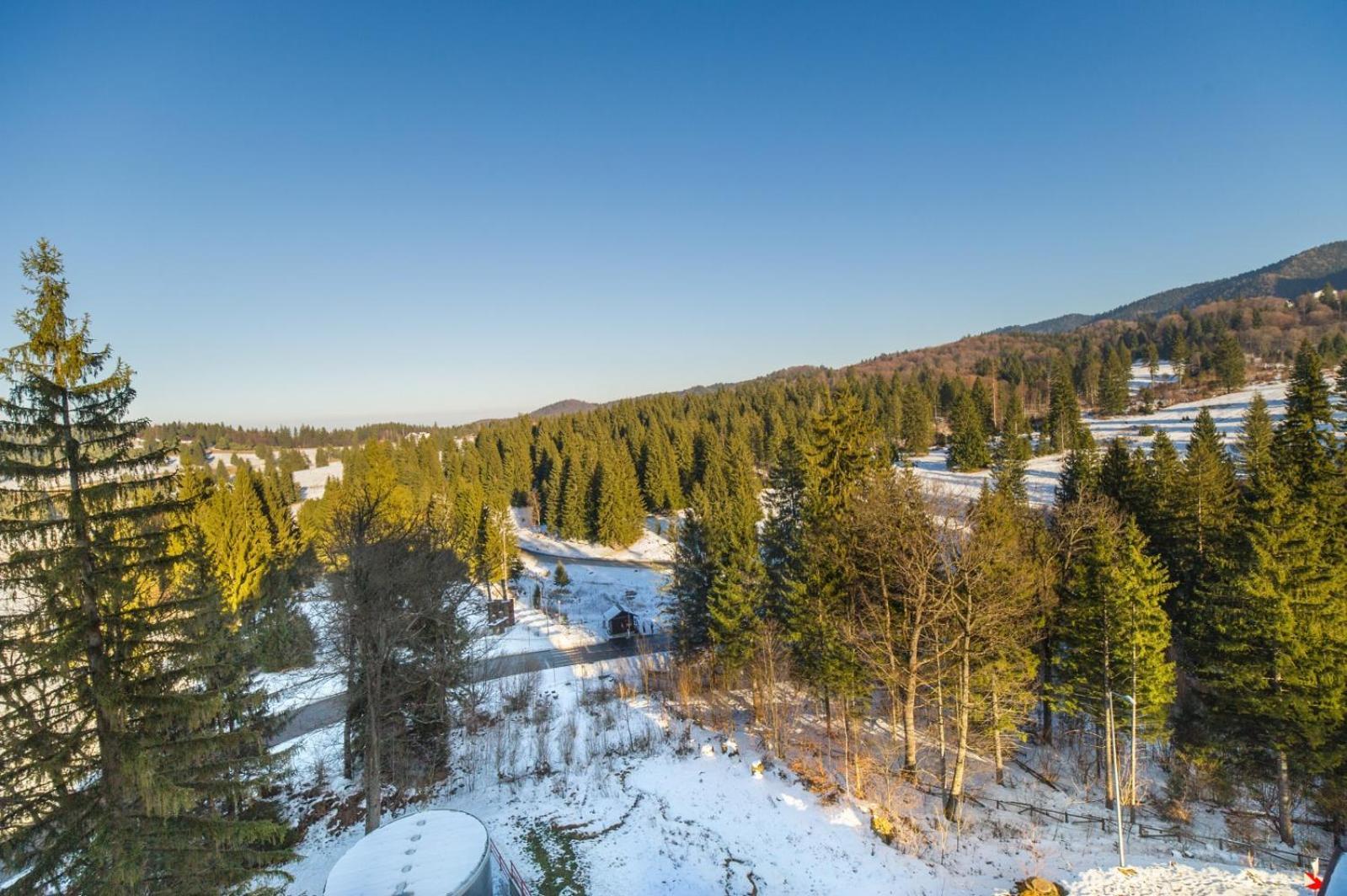 Pine Woods Apartment A28 In Silver Mountain Poiana Brasov Eksteriør billede